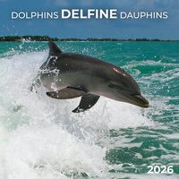 Abbildung von: Delfine/Dolphins 2026 - Tushita PaperArt