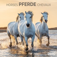 Abbildung von: Pferde/Horses 2026 - Tushita PaperArt
