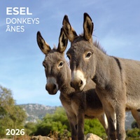 Abbildung von: Esel/Donkey 2026 - Tushita PaperArt