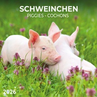 Abbildung von: Schweinchen/Piggies 2026 - Tushita PaperArt