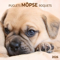 Abbildung von: Möpse/Puglets 2026 - Tushita PaperArt