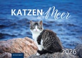 Abbildung von: Katzen am Meer 2026 - Hinstorff