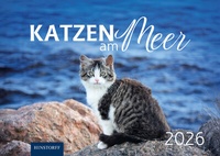 Abbildung von: Katzen am Meer 2026 - Hinstorff
