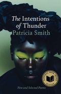 Cover: The Intentions of Thunder - Scribner
