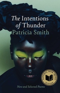 Enlarge image Cover: The Intentions of Thunder - Scribner