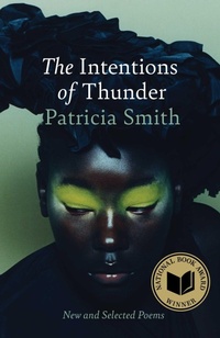 Enlarge image Cover: The Intentions of Thunder - Scribner