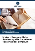 Cover: Mykorrhiza-gestuetzte Sanierung der Cadmium-Toxizitaet bei Sorghum - Verlag Unser Wissen