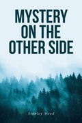 Cover: Mystery on the Other Side - Fulton Books, Inc.