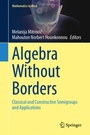 Cover: Algebra Without Borders - Springer