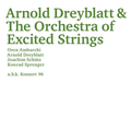 Cover: Arnold Dreyblatt & The Orchestra of Excited Strings - Neuer Berliner Kunstverein