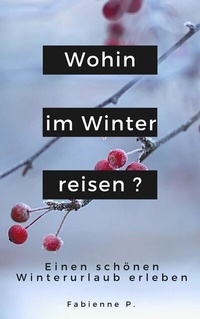 Abbildung von: Wohin im Winter reisen ? - epubli