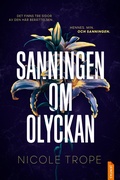 Cover: Sanningen om olyckan - Jentas