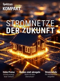 Abbildung von: Spektrum Kompakt - Stromnetze der Zukunft - Spektrum der Wissenschaft