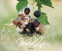 Cover: WaldLife 2026 - Korsch Verlag