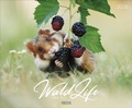 Cover: WaldLife 2026 - Korsch Verlag