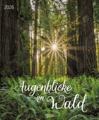 Abbildung von: Augenblicke im Wald 2026 - Korsch Verlag