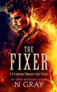 Enlarge image Cover: The Fixer - Vinci Books
