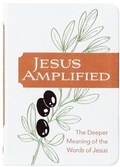 Cover: Jesus Amplified - BroadStreet Publishing