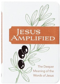 Enlarge image Cover: Jesus Amplified - BroadStreet Publishing