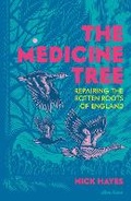 Cover: The Medicine Tree - Penguin