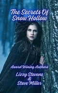 Cover: The Secrets Of Snow Hollow - Solstice Publishing