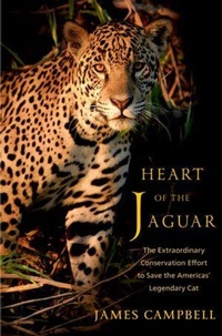 Abbildung von: Heart of the Jaguar - WW Norton & Co