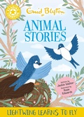 Cover: Enid Blyton Animal Stories: Lightwing Learns to Fly - Franklin Watts