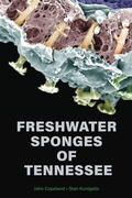 Abbildung von: Freshwater Sponges of Tennessee - University of Tennessee Press