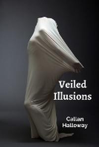 Abbildung von: Veiled Illusions - Callan Halloway