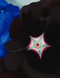 Enlarge image Cover: Georgia O'Keeffe: In New Light - Radius Books