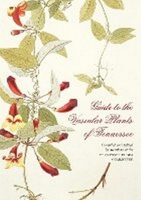 Abbildung von: Guide to the Vascular Plants of Tennessee - University of Tennessee Press
