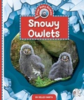 Cover: Snowy Owlets - Child's World, Inc. Wonder Books