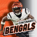 Cover: Cincinnati Bengals - Child's World