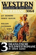 Cover: Western Dreierband 3064 - Uksak E-Books