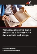 Cover: Rimedio assistito dalle micorrize alla tossicita del cadmio nel sorgo - Edizioni Sapienza