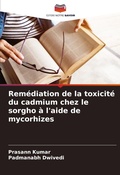 Cover: Remediation de la toxicite du cadmium chez le sorgho a l'aide de mycorhizes - Editions Notre Savoir