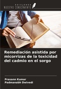 Cover: Remediaci&oacute;n asistida por micorrizas de la toxicidad del cadmio en el sorgo - Ediciones Nuestro Conocimiento