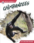 Cover: Chimpanzees - Apex