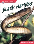 Cover: Black Mambas - Apex