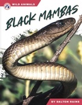 Cover: Black Mambas - Apex