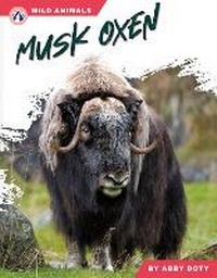 Enlarge image Cover: Musk Oxen - Apex