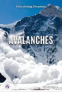 Enlarge image Cover: Avalanches - Apex