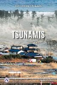 Enlarge image Cover: Tsunamis - Apex