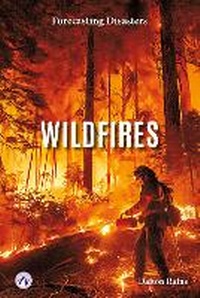 Enlarge image Cover: Wildfires - Apex