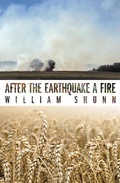 Cover: After the Earthquake a Fire - Sinister Regard Publishers