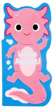 Cover: Little Axolotl - Silver Dolphin Books