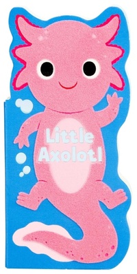 Enlarge image Cover: Little Axolotl - Silver Dolphin Books