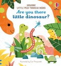 Cover: Are You There Little Dinosaur? - Usborne Publishing Ltd
