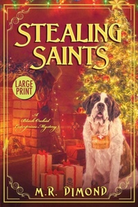 Enlarge image Cover: Stealing Saints - Rock Rose Press
