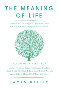 Enlarge image Cover: The Meaning of Life - Pegasus Books